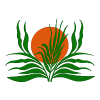 Boho Sun Palm Leaves