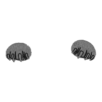 Cat and Paws Two Separate