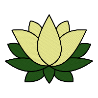 Lotus-Flower-4
